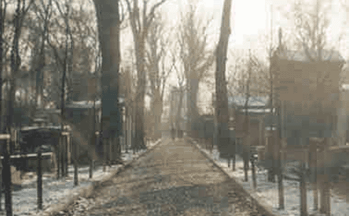 The cities of the dead are spread across the globe, invading the space of the living. All organic matter has been alive before, and so the dead literally live in us.