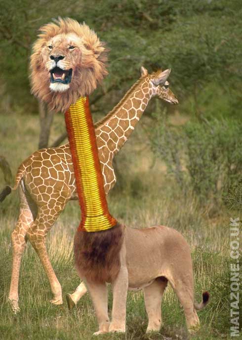 Rawr! I mean... Err... Nibble.